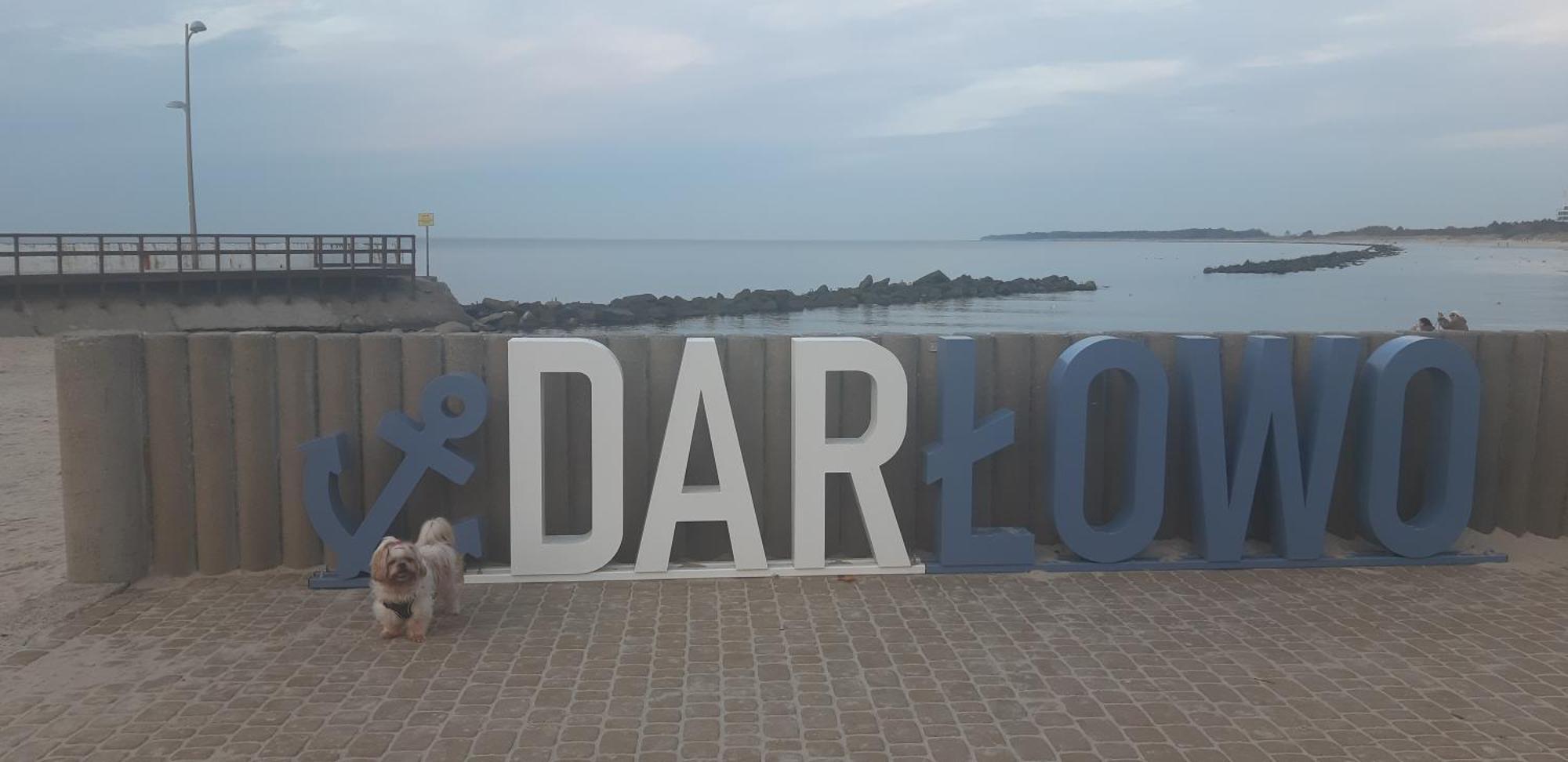 Pokoje Goscinne Galeon W Darlowku Ujście-Darłowskie Extérieur photo